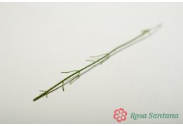  ГАБРИЭЛЬ стебель гвоздики 30см ( 8000 ) без расцветки 