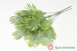 Букет зелени пальма круглая